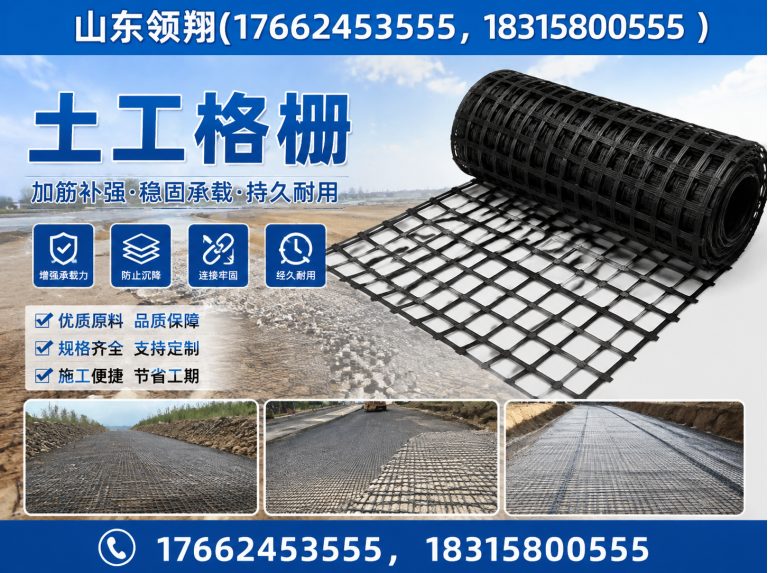 河源土工格栅展示图